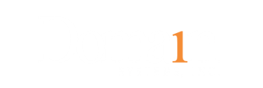 Domain Systems company logo