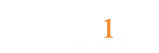Domain_Systems_logo
